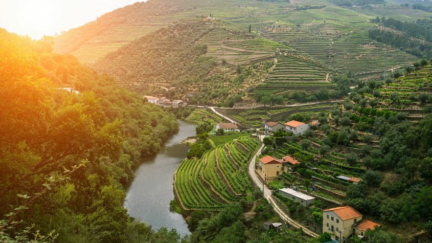 Douro landscape