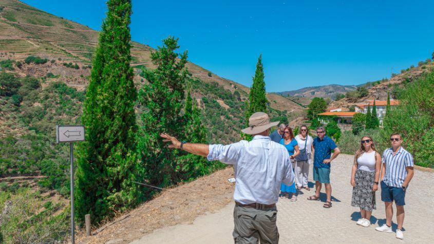 Tourists on a private visit to a winery in the Douro