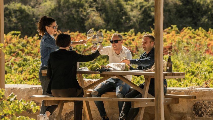 Turistas a brindarem em região vínica em Espanha