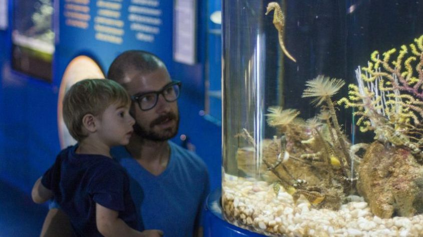 Pai com bebe em Aquario em Barcelona