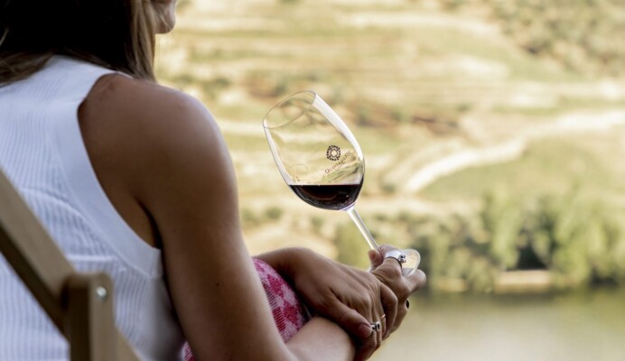 Degustação vinho do Douro com paisagem Vale do Douro em passeio de meio dia em privado ao Douro