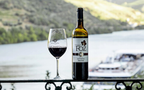 Prova Classica de vinho do Porto e da região Do Douro em passeio de meio dia com vista sobre o Rio Douro