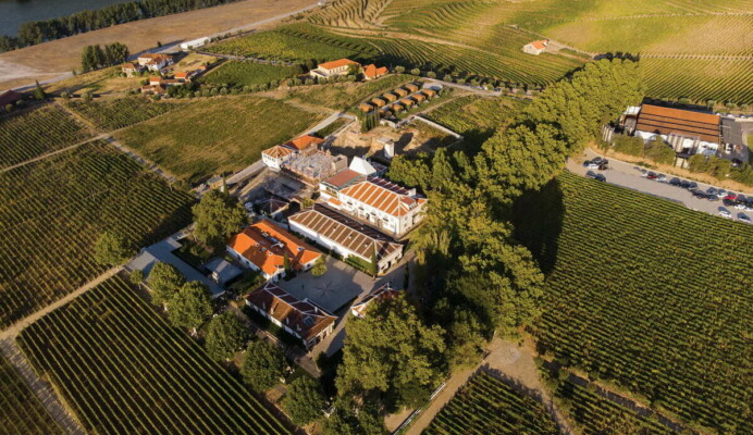 Vista aérea da Quinta da Pacheca no Vale do Douro e suas Vinhas