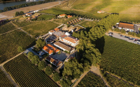 Vista aérea da Quinta da Pacheca no Vale do Douro e suas Vinhas