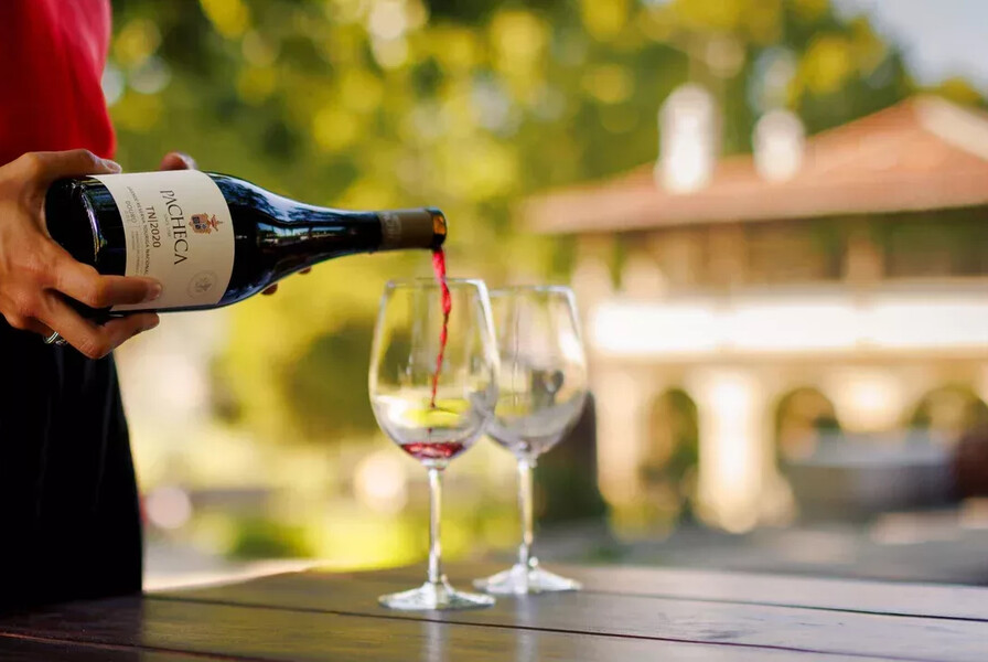 Prova de vinhos classicos do Douro na Quinta da Pacheca