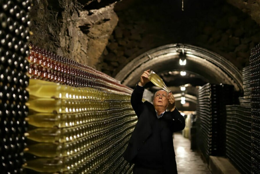 Murganheira Winery in Ucanha - Living Private Tours