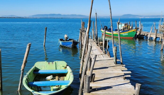 Déjeuner dans un restaurant traditionnel à Vila da Carrasqueira - Living Private Tours