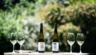 Tour Privado de Vinhos Verdes no Alto Minho - Living Private Tours