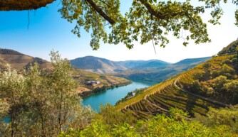 Tour Privado de Vinhos no Vale do Douro
