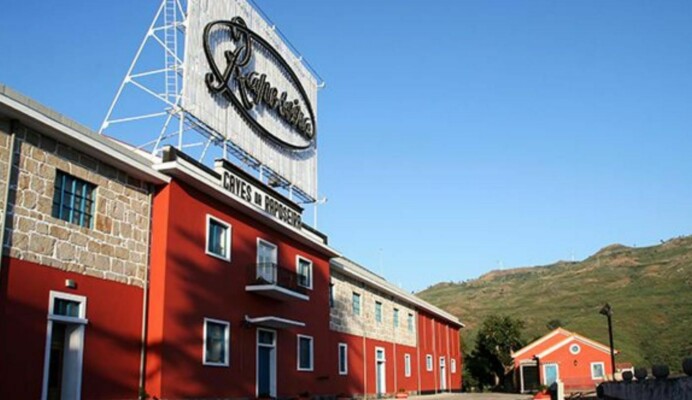 Caves da Raposeira em Lamego - Living Private Tours