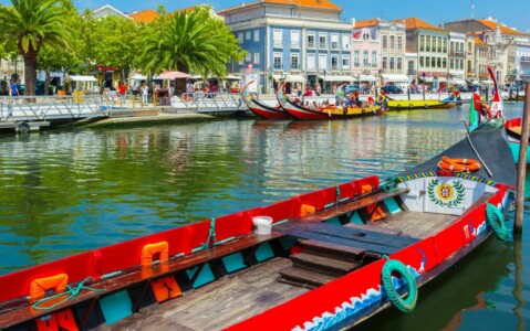 Barcos Moliceiros nos canais de Aveiro - Living Private Tours