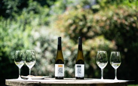 Tour Privado de Vinhos Verdes no Alto Minho