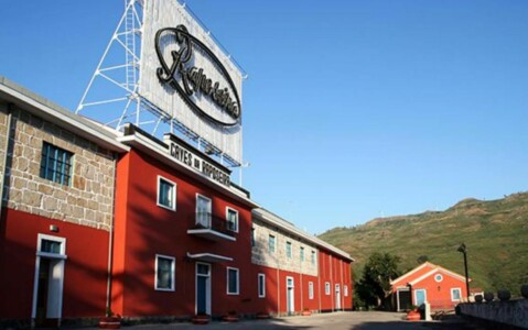 Caves da Raposeira em Lamego - Living Private Tours