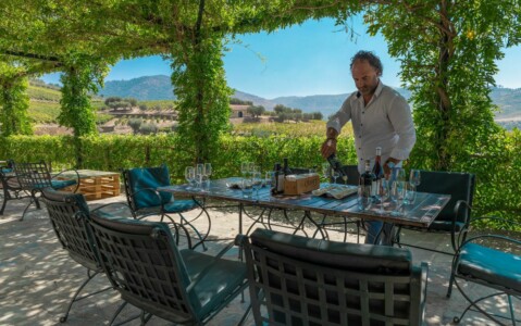 Douro wine tasting with scenery - Living Private Tours